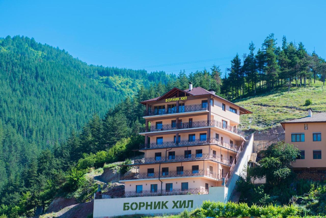 Борник Хил / Bornik Hill 代温 外观 照片
